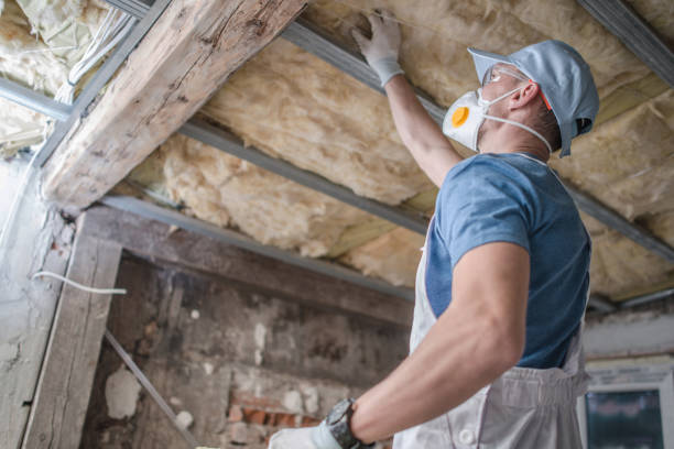 Best Insulation Materials and Products in Red Oak, TX