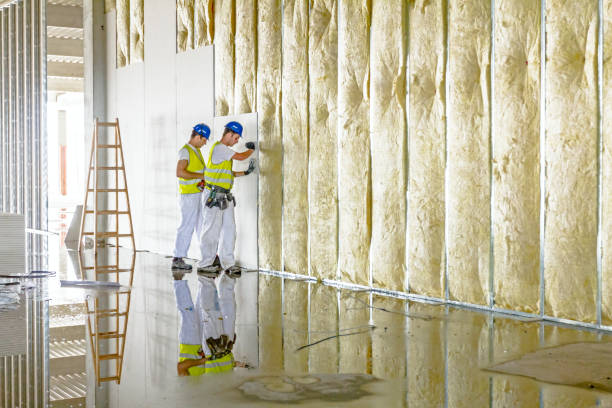 Best Residential Insulation in Red Oak, TX